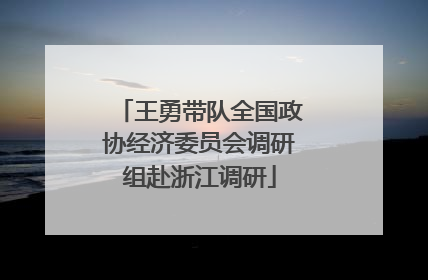 王勇带队全国政协经济委员会调研组赴浙江调研