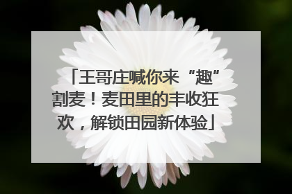 王哥庄喊你来“趣”割麦！麦田里的丰收狂欢，解锁田园新体验