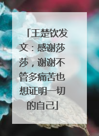 王楚钦发文：感谢莎莎，谢谢不管多痛苦也想证明一切的自己