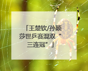 王楚钦/孙颖莎世乒赛混双“三连冠”