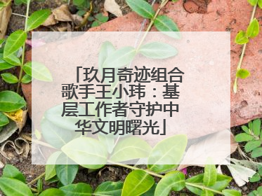 玖月奇迹组合歌手王小玮：基层工作者守护中华文明曙光