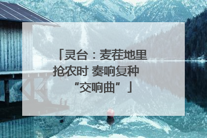 灵台：麦茬地里抢农时 奏响复种“交响曲”