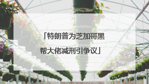 特朗普为芝加哥黑帮大佬减刑引争议