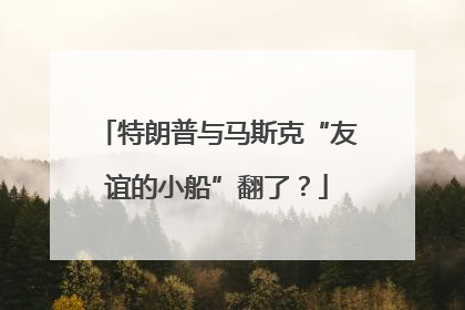 特朗普与马斯克“友谊的小船”翻了?