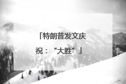 特朗普发文庆祝：“大胜”