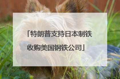 特朗普支持日本制铁收购美国钢铁公司