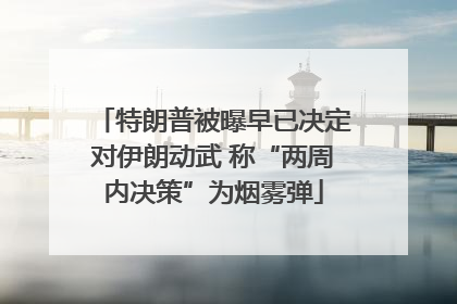 特朗普被曝早已决定对伊朗动武 称“两周内决策”为烟雾弹
