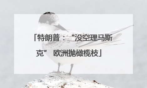 特朗普：“没空理马斯克” 欧洲抛橄榄枝