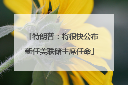 特朗普：将很快公布新任美联储主席任命