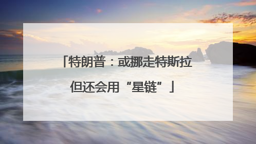 特朗普：或挪走特斯拉 但还会用“星链”