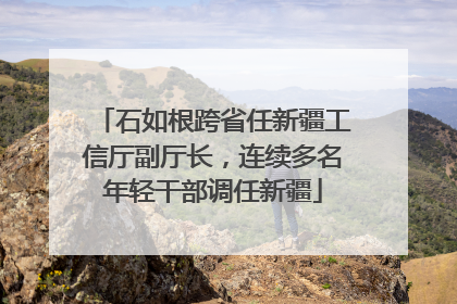 石如根跨省任新疆工信厅副厅长，连续多名年轻干部调任新疆
