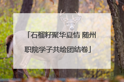 石榴籽聚华夏情 随州职院学子共绘团结卷