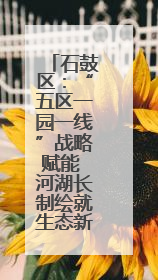 石鼓区：“五区一园一线”战略赋能 河湖长制绘就生态新图景