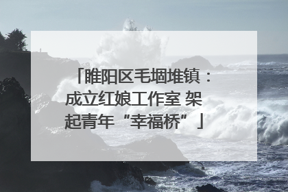 睢阳区毛堌堆镇：成立红娘工作室 架起青年“幸福桥”