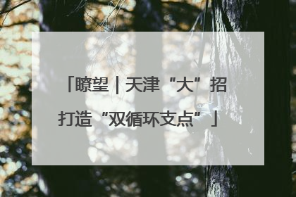 瞭望｜天津“大”招打造“双循环支点”