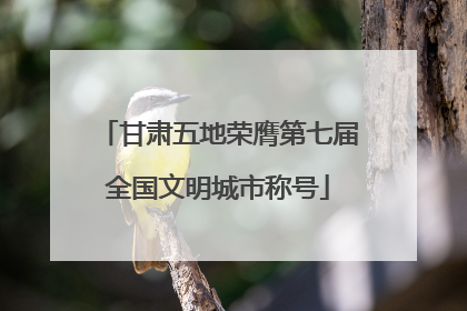 甘肃五地荣膺第七届全国文明城市称号