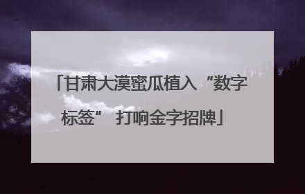甘肃大漠蜜瓜植入“数字标签” 打响金字招牌