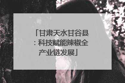 甘肃天水甘谷县：科技赋能辣椒全产业链发展