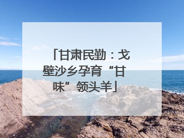 甘肃民勤：戈壁沙乡孕育“甘味”领头羊
