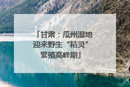 甘肃：瓜州湿地迎来野生“精灵”繁殖高峰期