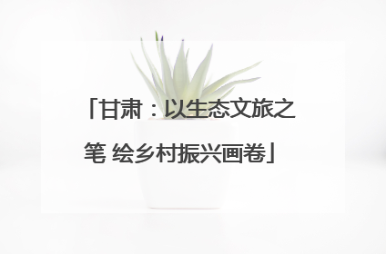 甘肃：以生态文旅之笔 绘乡村振兴画卷