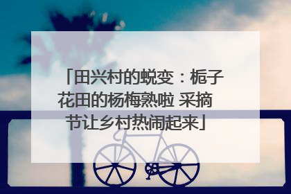 田兴村的蜕变：栀子花田的杨梅熟啦 采摘节让乡村热闹起来
