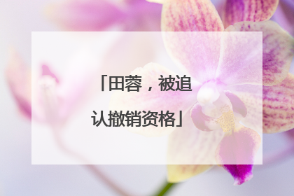 田蓉，被追认撤销资格