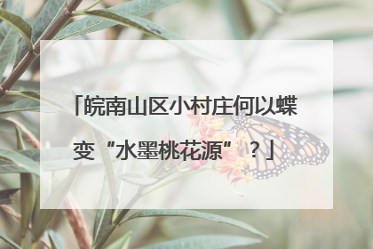 皖南山区小村庄何以蝶变“水墨桃花源”？
