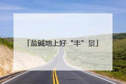 盐碱地上好“丰”景