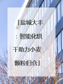 盐城大丰：智能化烘干助力小麦颗粒归仓