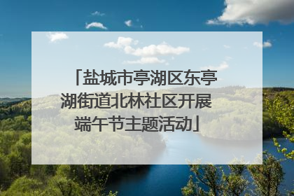 盐城市亭湖区东亭湖街道北林社区开展端午节主题活动