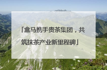 盒马携手贵茶集团，共筑抹茶产业新里程碑