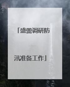 盛蕾调研防汛准备工作
