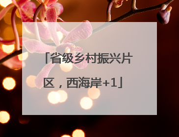省级乡村振兴片区，西海岸+1