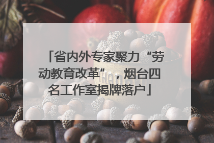 省内外专家聚力“劳动教育改革”，烟台四名工作室揭牌落户