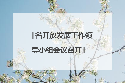 省开放发展工作领导小组会议召开