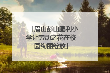 眉山彭山鹏利小学让劳动之花在校园绚丽绽放