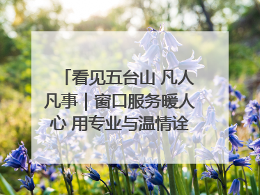 看见五台山 凡人凡事｜窗口服务暖人心 用专业与温情诠释责任担当