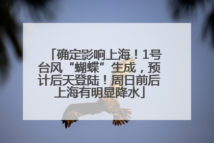 确定影响上海！1号台风“蝴蝶”生成，预计后天登陆！周日前后上海有明显降水