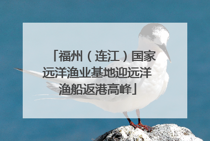 福州（连江）国家远洋渔业基地迎远洋渔船返港高峰