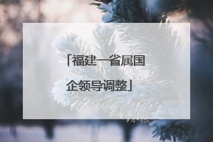 福建一省属国企领导调整