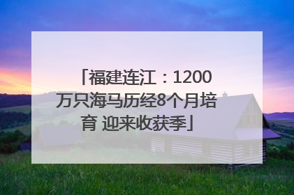 福建连江：1200万只海马历经8个月培育 迎来收获季