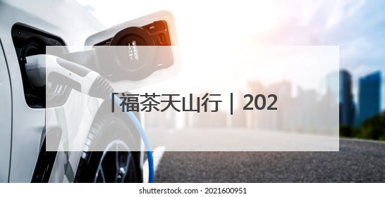 福茶天山行｜2025年“福茶天山行”系列活动在昌吉州启动