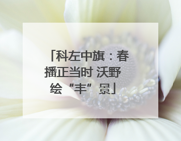 科左中旗：春播正当时 沃野绘“丰”景