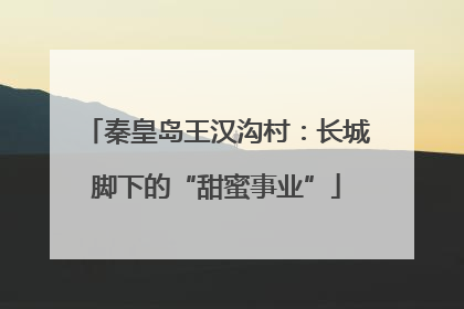 秦皇岛王汉沟村：长城脚下的“甜蜜事业”