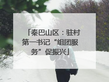 秦巴山区：驻村第一书记“组团服务”促振兴