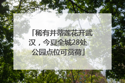 稀有并蒂莲花开武汉，今夏全城28处公园点位可赏荷