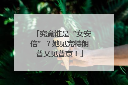 究竟谁是“女安倍”？她见完特朗普又见普京！