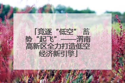 竞逐“低空” 蓄势“起飞”——渭南高新区全力打造低空经济新引擎