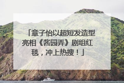 章子怡以超短发造型亮相《酱园弄》剧组红毯，冲上热搜！